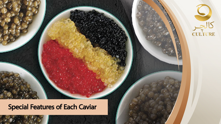 Special Features of Each Caviar