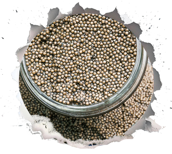 Sevruga Caviar
