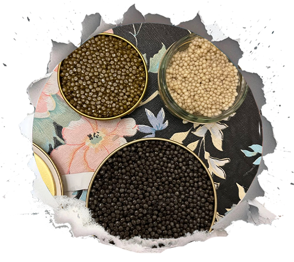 Do All Types of Caviar Taste the Same?