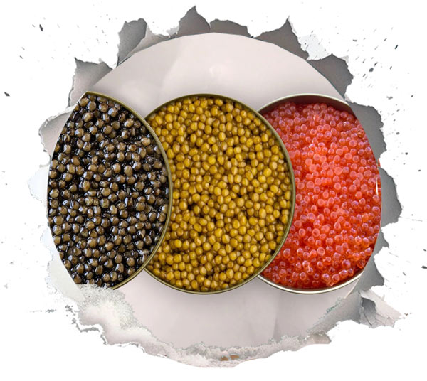 Types of Caviar and Their Nutritional Variations