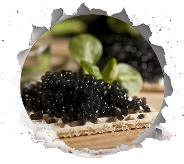 Health Benefits of Caviar: Beyond the Palate