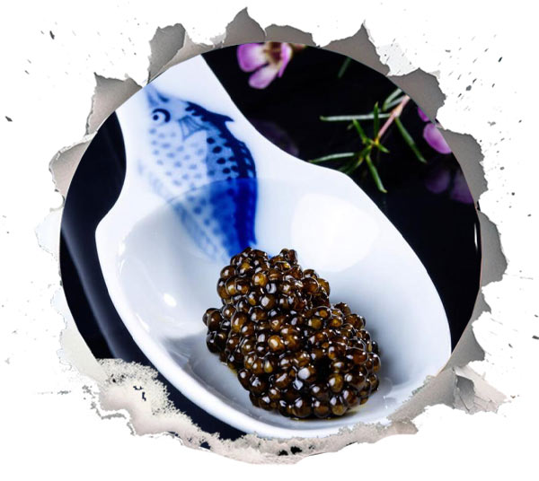 Understanding Caviar: A Quick Primer