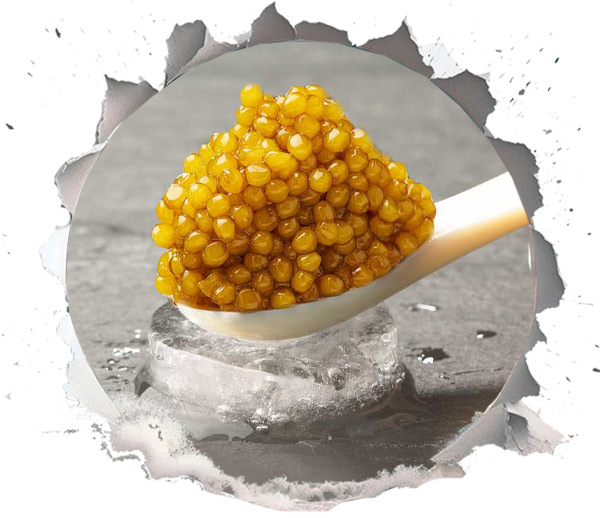 Shah Caviar