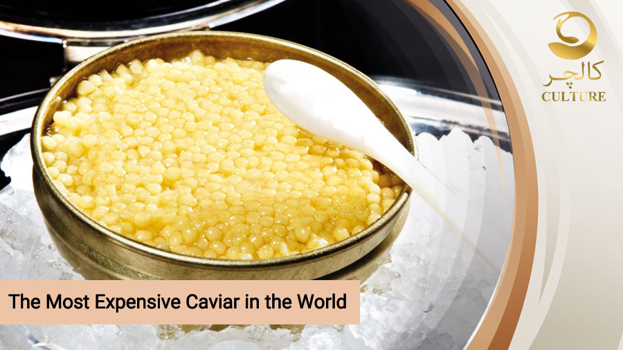 The Most Expensive Caviar in the World