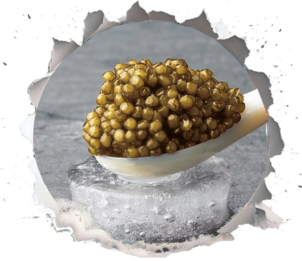 Golden Caviar