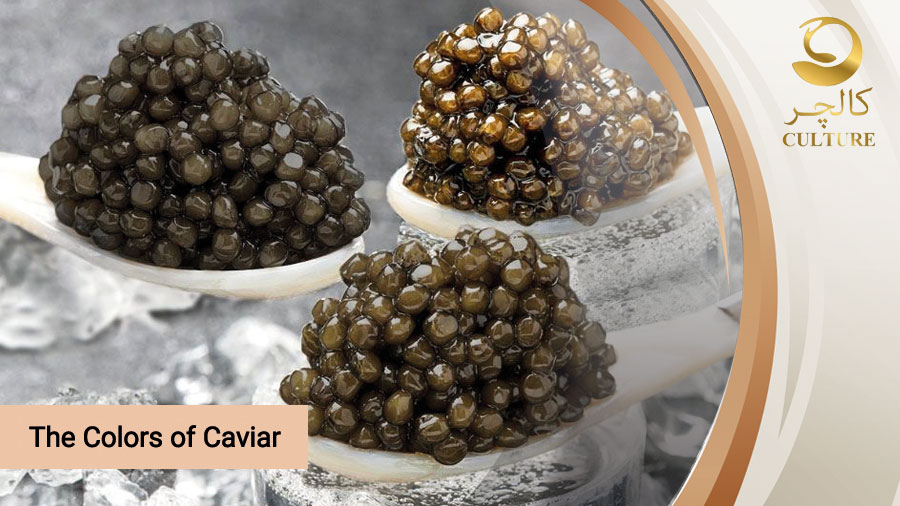 The Colors of Caviar and Their Unique Qualities