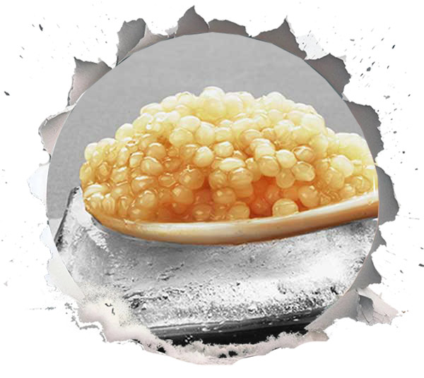 Almas Caviar