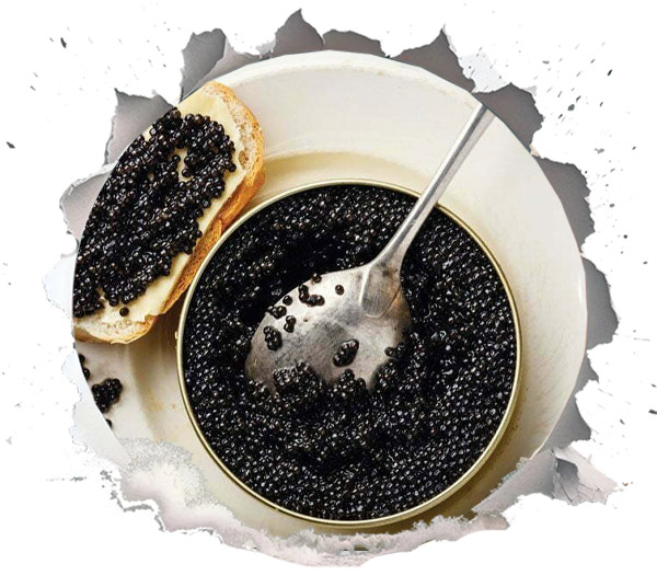 Wild Caviar