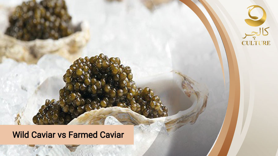 Wild Caviar vs Farmed Caviar