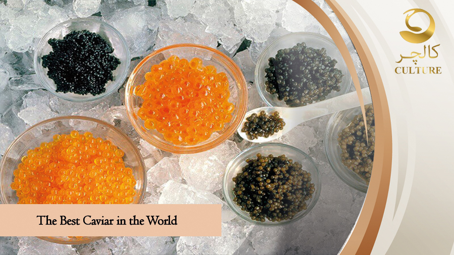 The Best Caviar