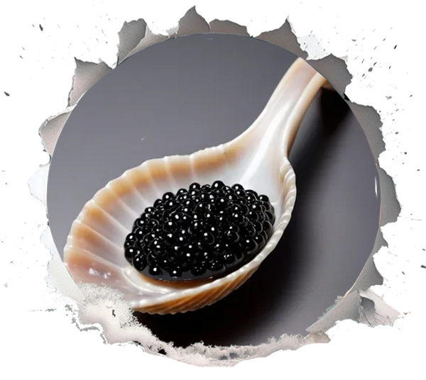 Caviar Serving Spoon