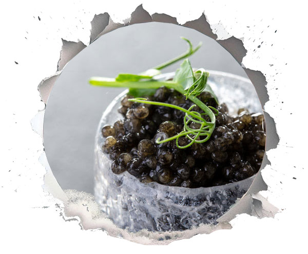 high quality caviar