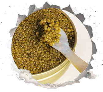 Purchase high quality Iranian caviar