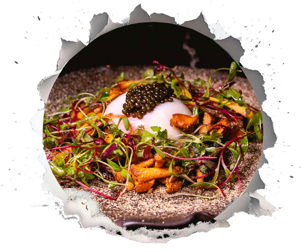 Practical Tips on Updating the Menu Seasonally