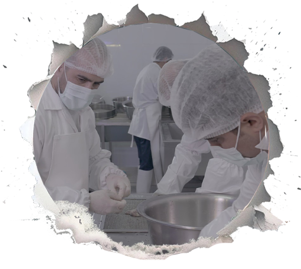 Mastering Processing: Turning Science into Sensory Perfection