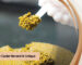 Caviar Harvest