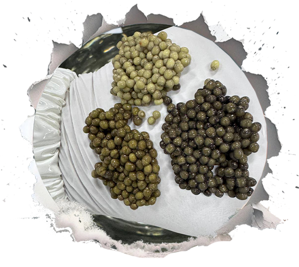Choosing Caviar With Confidence